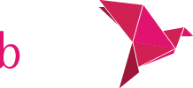 bKash Payment